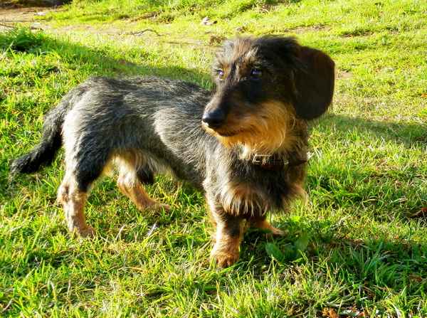 Man ist erwachsen geworden