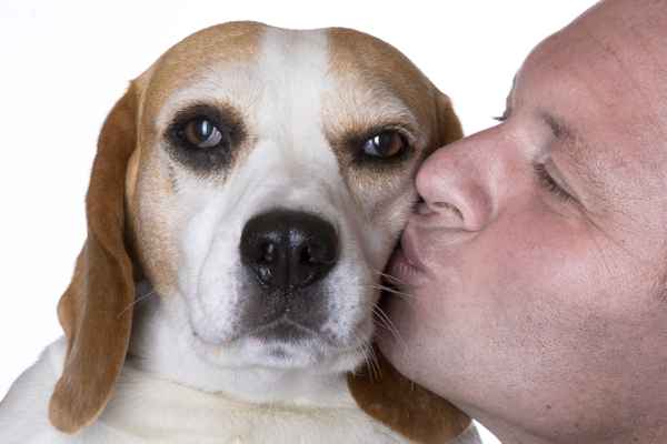 Hundekuss