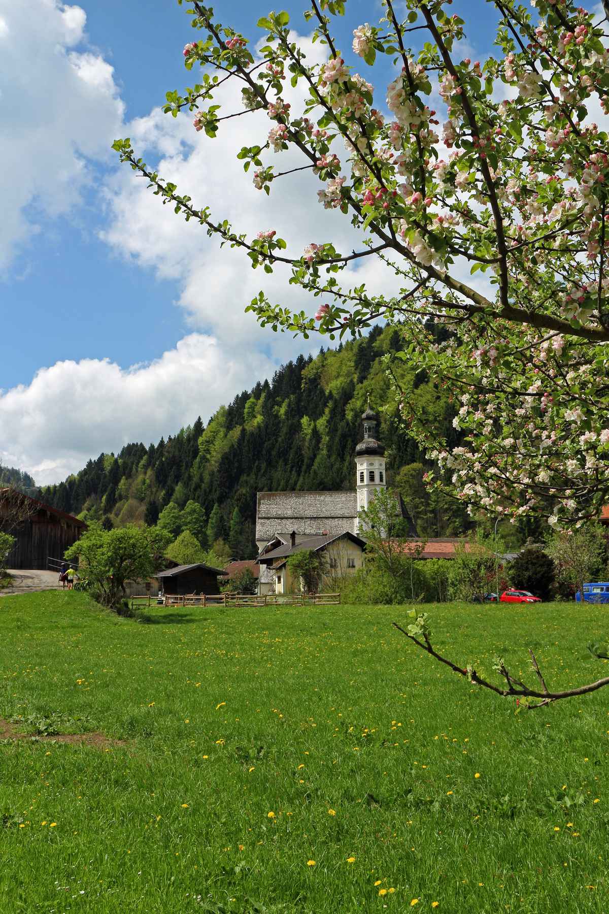 Frühlingswiese mit Kirche