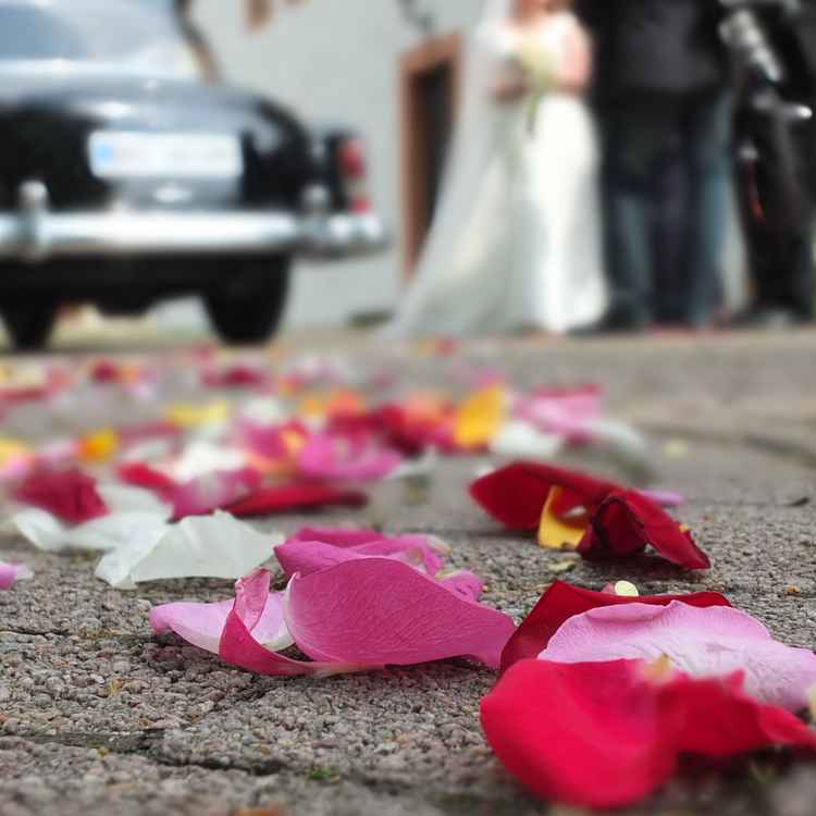 Rosenblätter Oldtimer Hochzeitspaar