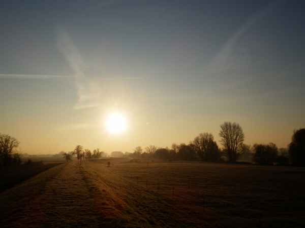 Gassigänger sind zeitig unterwegs