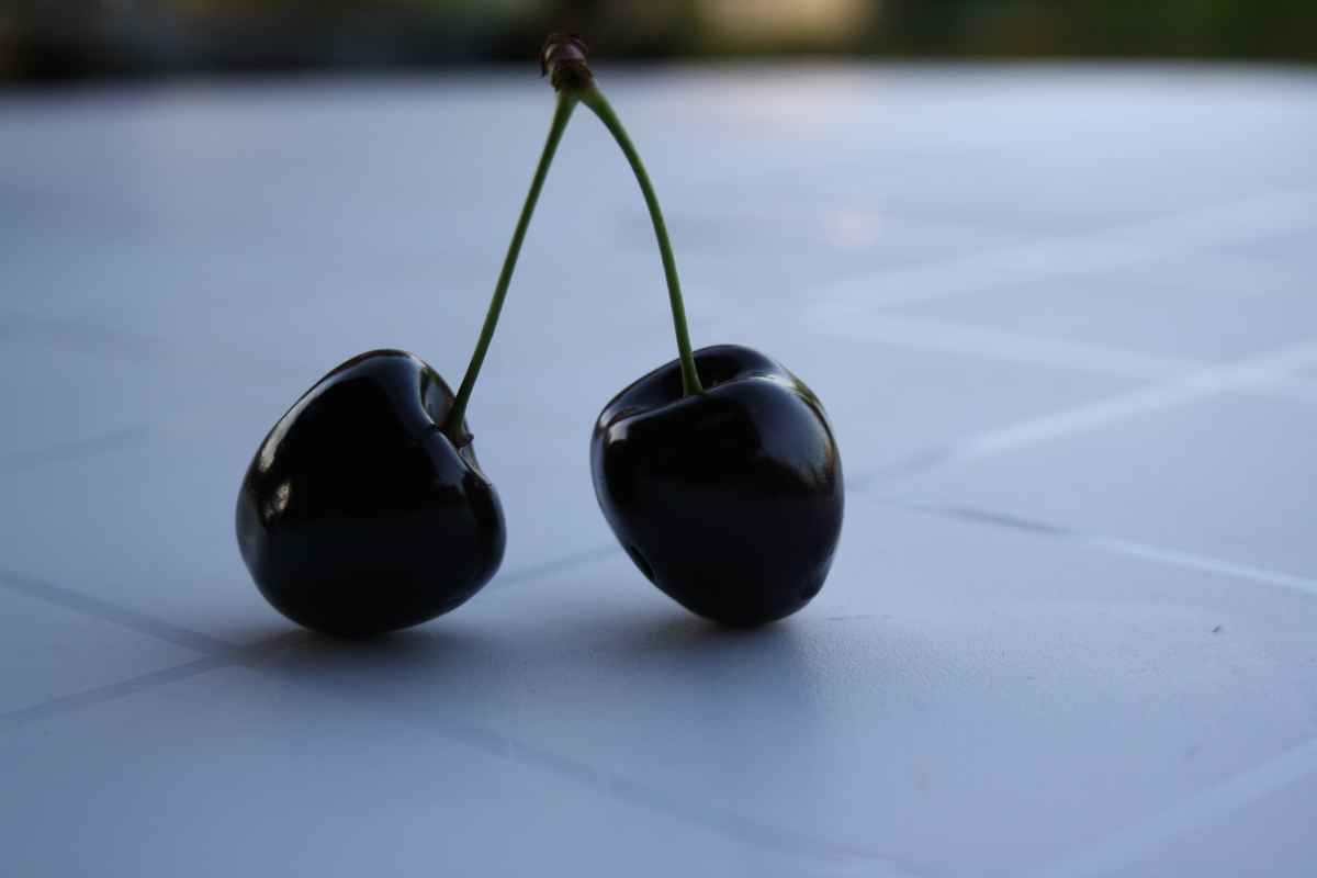 schwarzes Süsskirschen #3