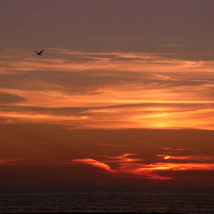 Der Himmel brennt