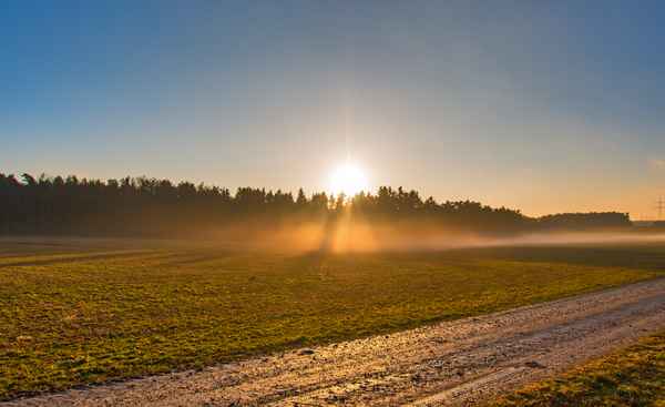 Nebel im Gegenlicht
