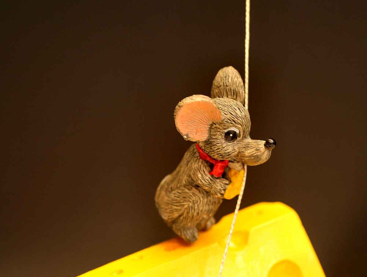 Da beißt die Maus keinen Faden ab!