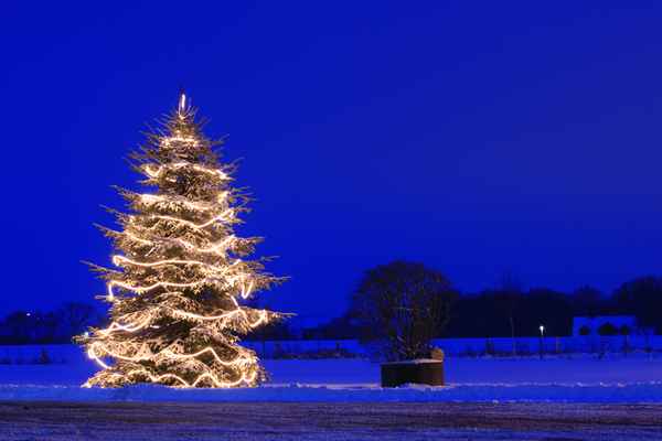 oh, tannenbaum, oh, tannenbaum