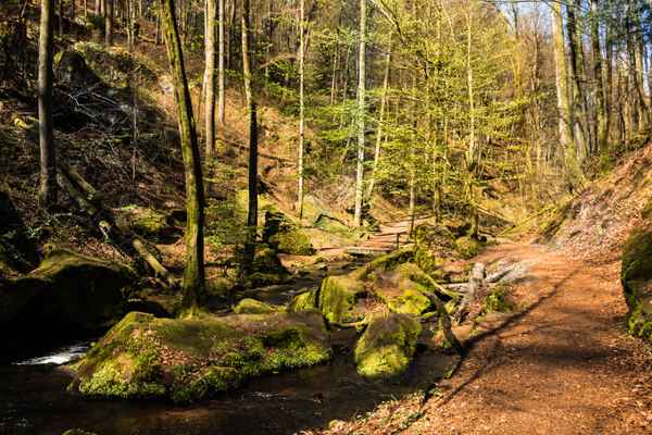 Karlstalschlucht im Frühling