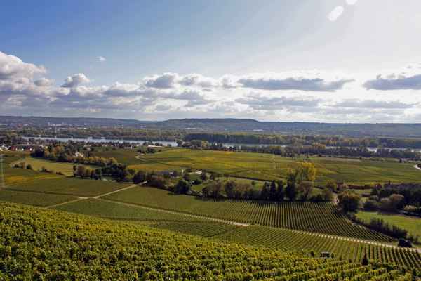 Rheingau_Johannisberg 1