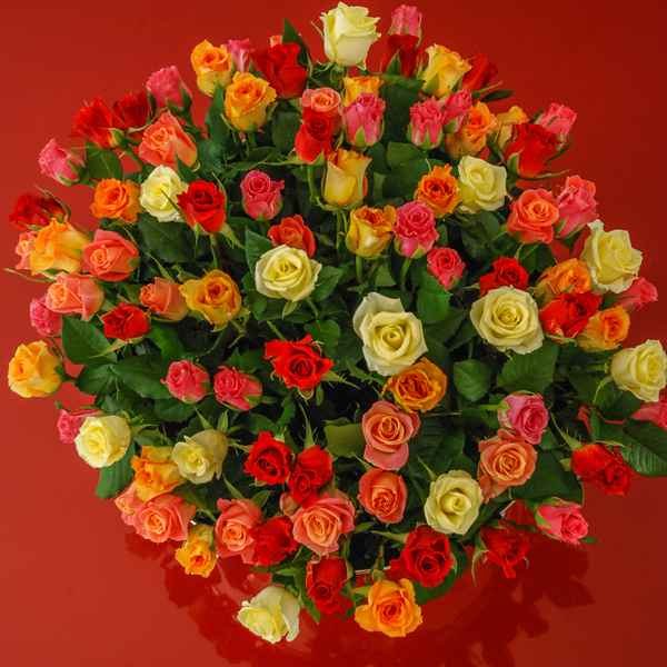 Der Rosenkavalier oder 90. Geburtstag