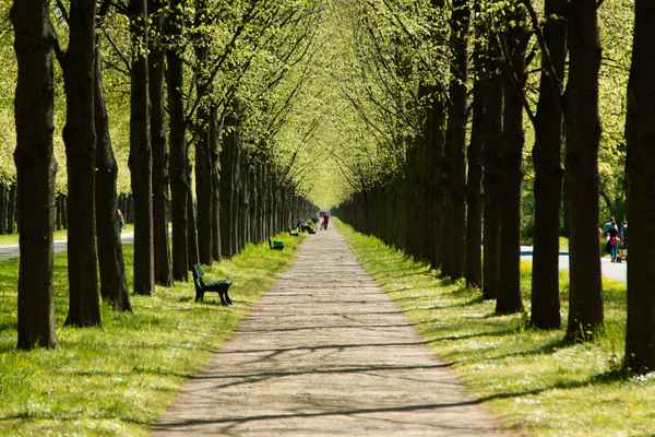 Herrenhausen