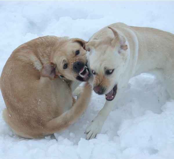 Generationenkonflikt