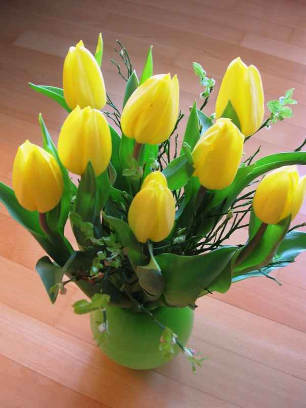 Ein Tulpenstrauß für Euch....