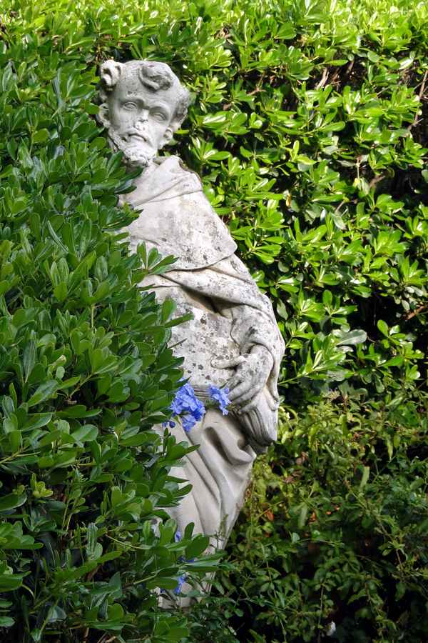 Der Belesene im Garten