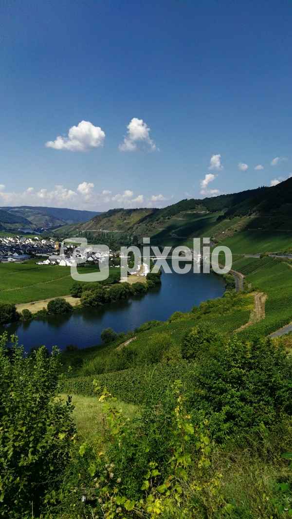 Trittenheim an der Mosel