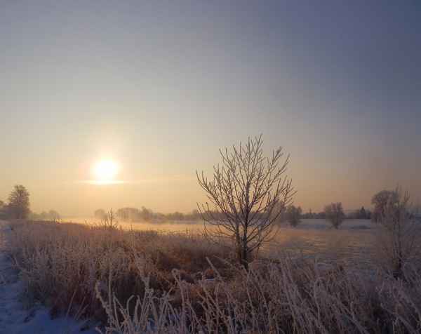 Bei minus 16 Grad dampft die Elbe