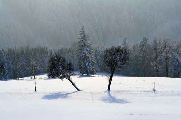 Winterlandschaft