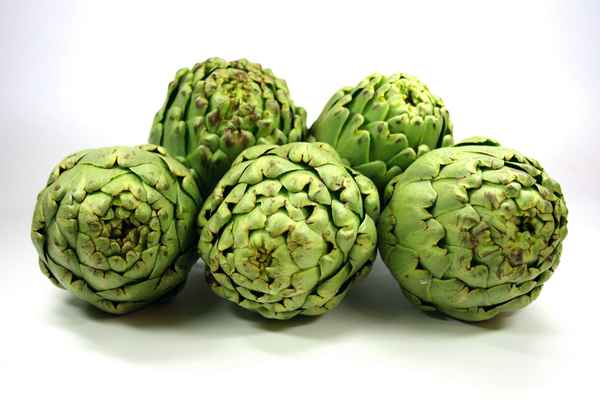 Artischocke 6