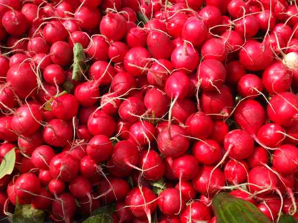 Radieschen sind gesund