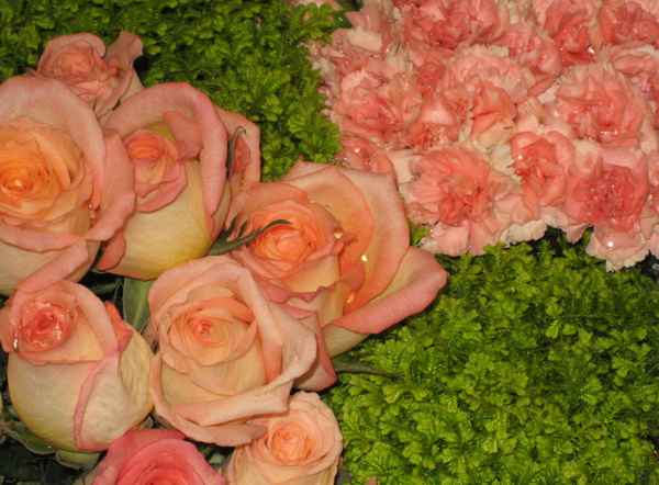 Rosen und Nelken