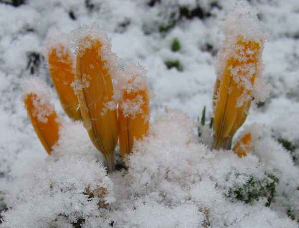 Frohe Ostern  am Karfreitagmorgen 2010