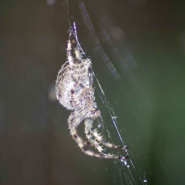 Herbst 01
