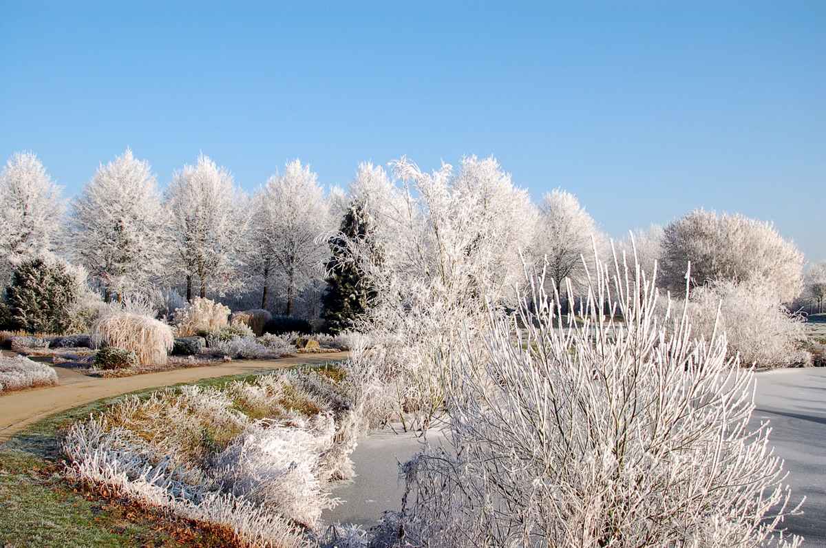 Winterpark
