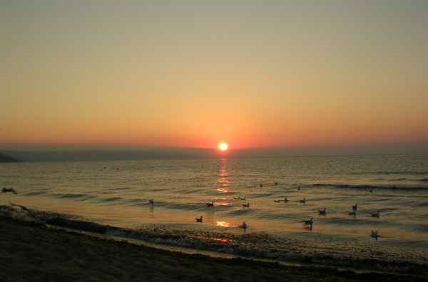 Sonnenaufgang-2