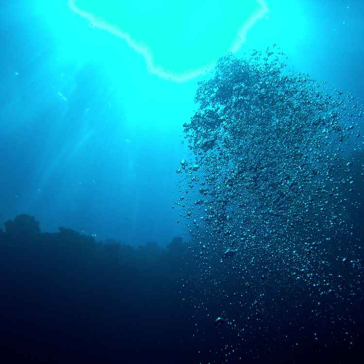 Open Water