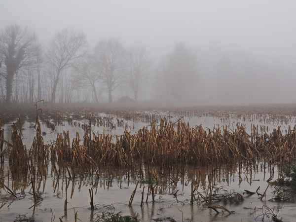 land unter im nebel 2