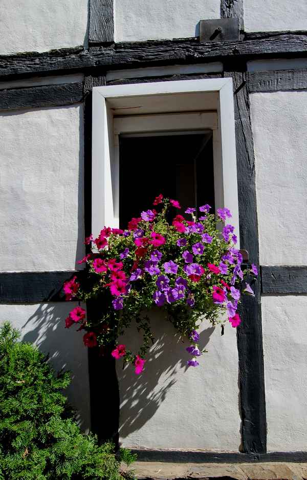 s/w und bunt