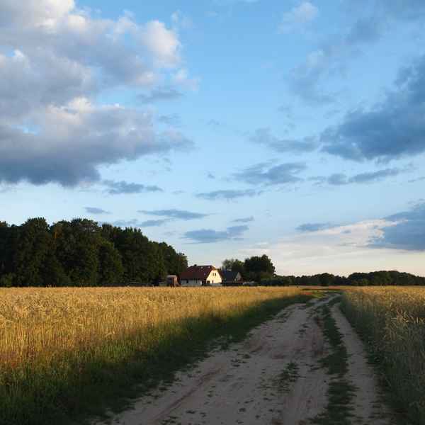 Feldweg