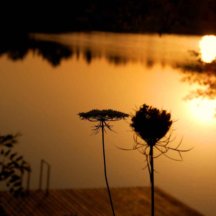 Sonnenaufgang2