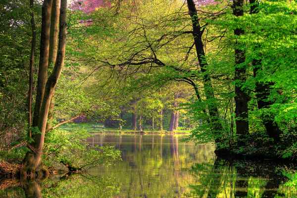 Fühlbare Stille im Park
