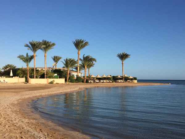 Morgenlicht am Palmenstrand