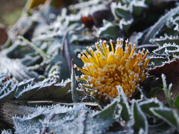der frühling macht pause