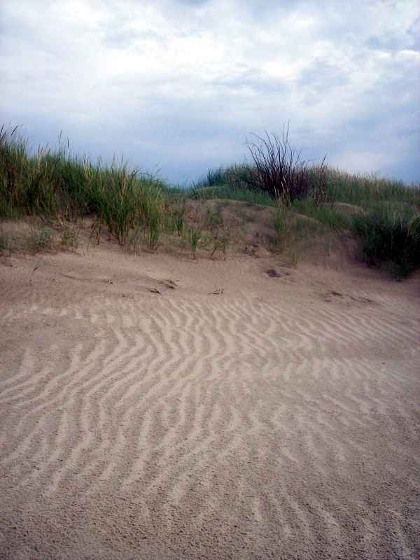 Spuren im Sand