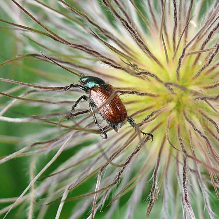 ich hab mich etwas verirrt...