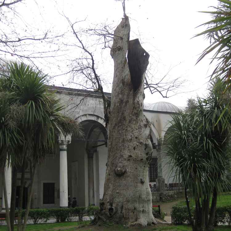 Topkapi mit Schatzkammer