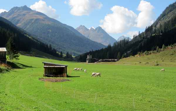 auf der Alm