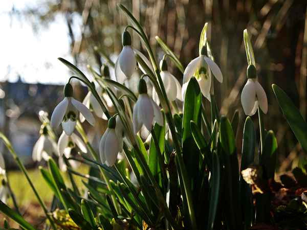 Der Frühling lässt grüßen!