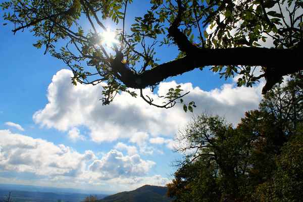 Blick zum grossen Bruder