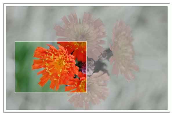 orange_grün_3