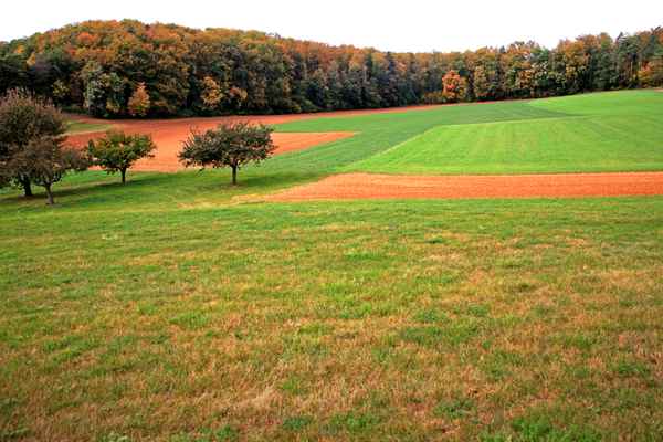Herbst in Wald und Feld 2