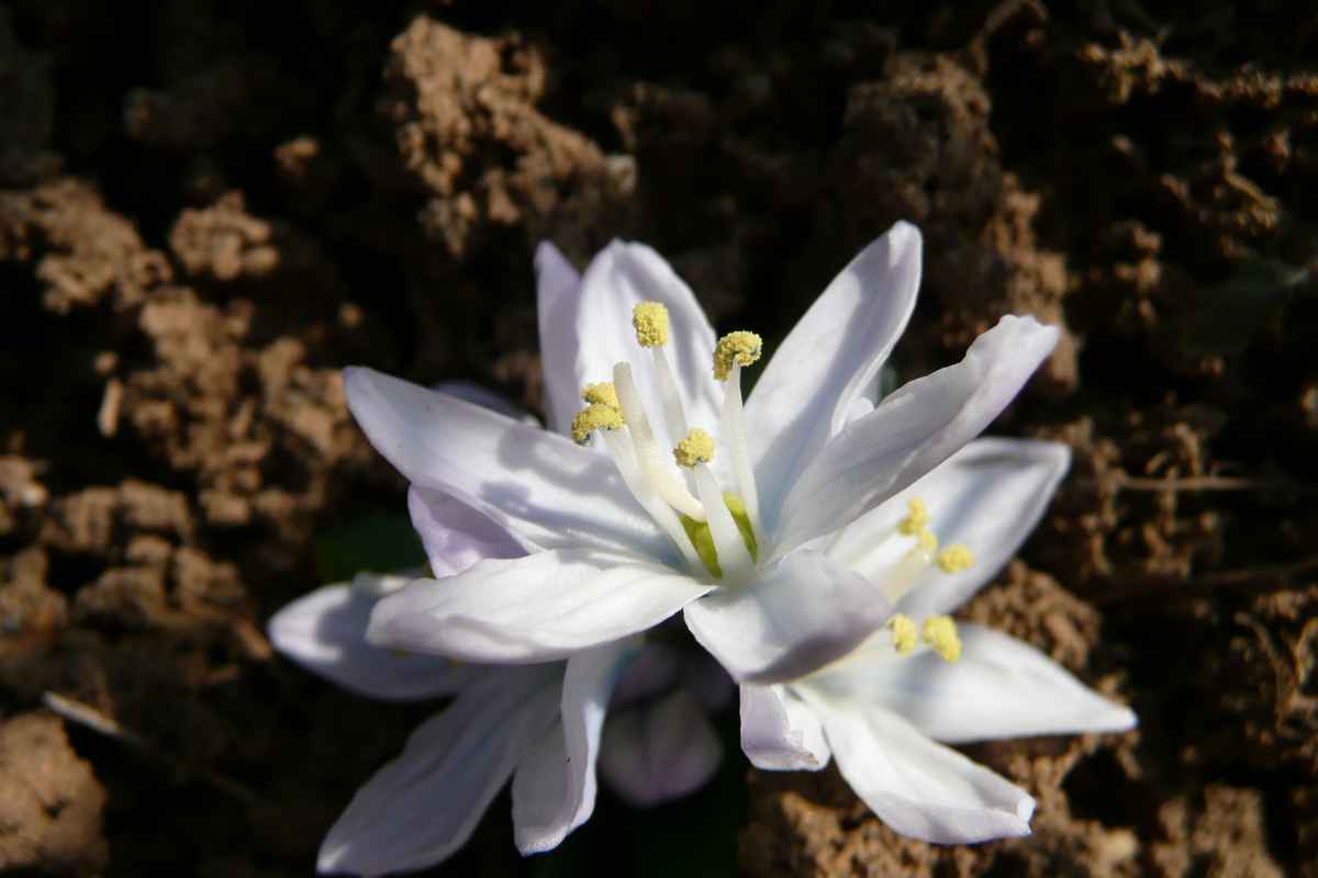 erste Spuren des Sommers
