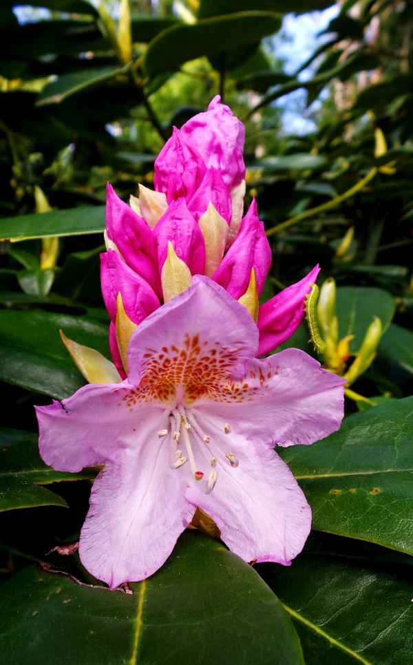 Turnübungen am Blatt