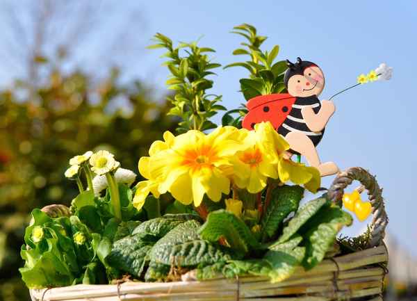Blumenkörbchen