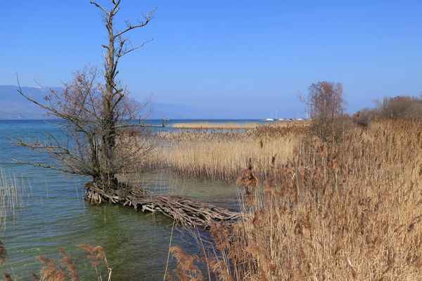 Rätselhafte Standfestigkeit