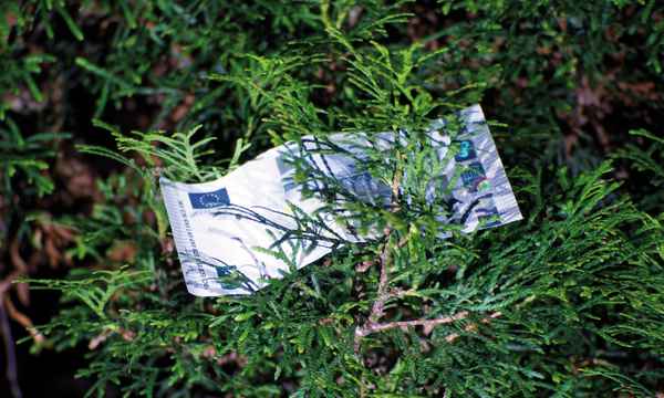 5 Euro in der Hecke