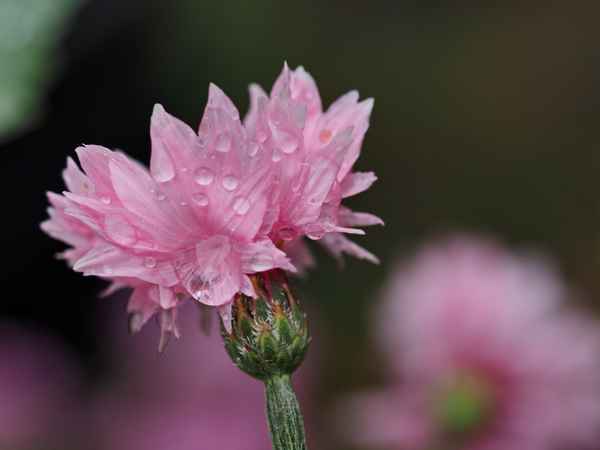 nach regen folgt sonne3
