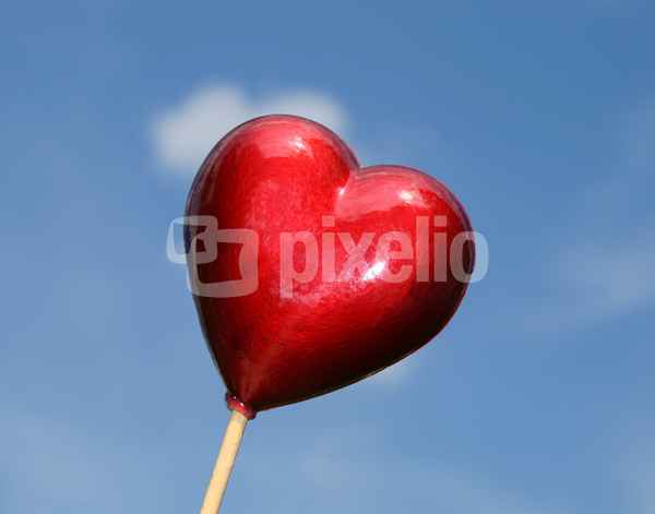 Herz am Stiel